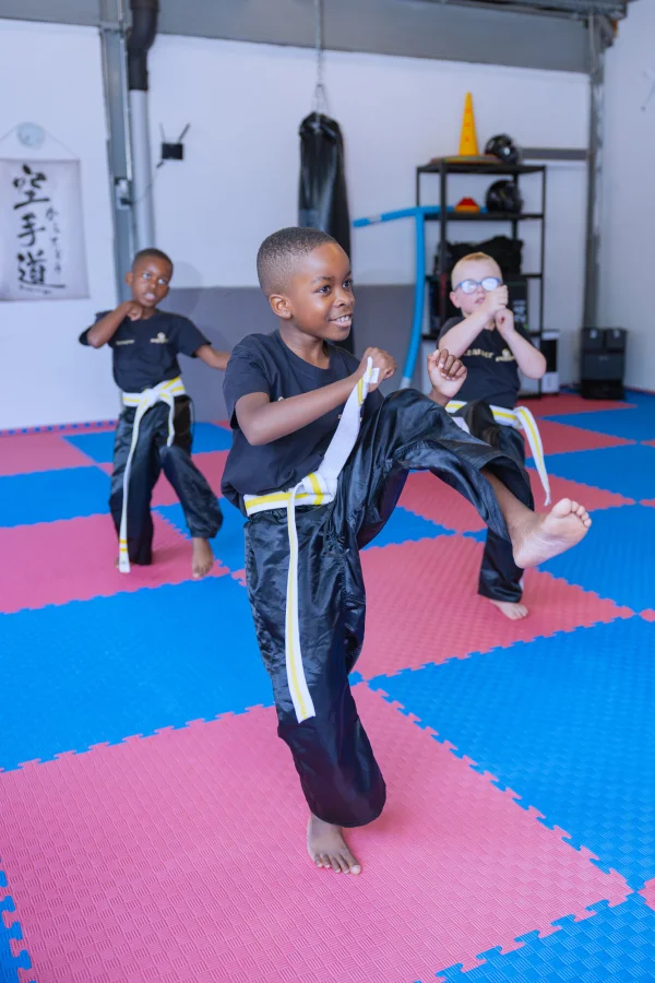 Kickbox Kids beim Kick
